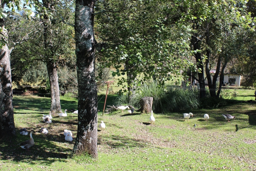 15 Bedroom Property for Sale in Harrismith Rural Free State